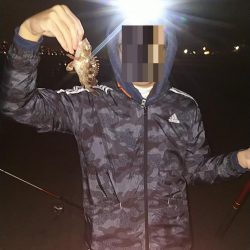 タチウオは何処へ？