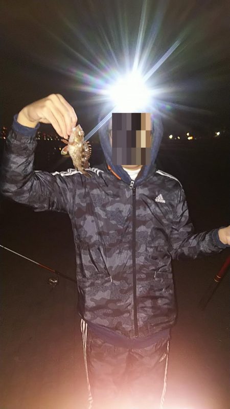 タチウオは何処へ？