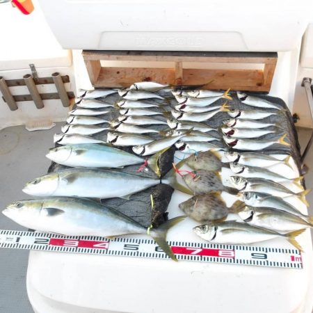 遊漁船SOUTH(サウス)釣果