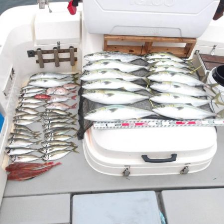 遊漁船SOUTH(サウス)釣果