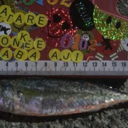 釣りデビュー 45日目