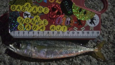 釣りデビュー　45日目