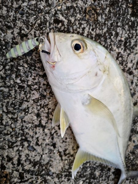 沖縄でも寒いです