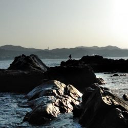 アオリイカ一杯・・・