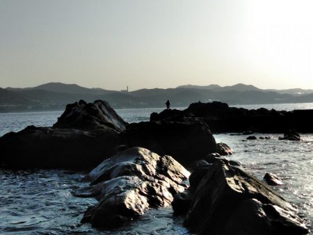 アオリイカ一杯・・・