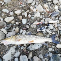 バスを狙うも…