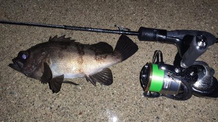 雨のメバリング釣行