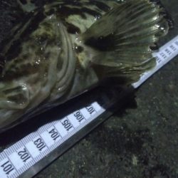 釣りデビュー　59日目