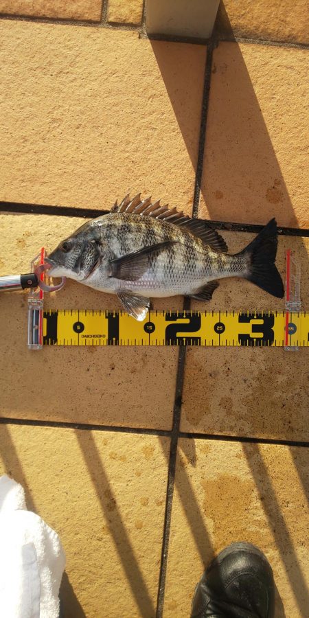 複数枚 ～さざなみ公園～