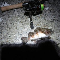 2021シーズン開幕!?