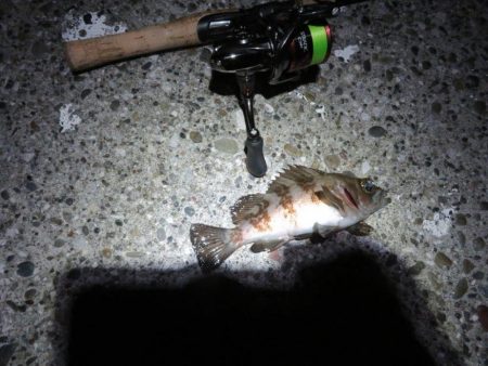 2021シーズン開幕!?