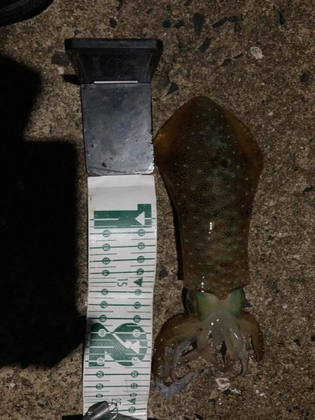 グラドロ　RIDE ON！