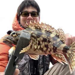 エギングからライトルアーフィッシング