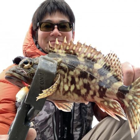 エギングからライトルアーフィッシング