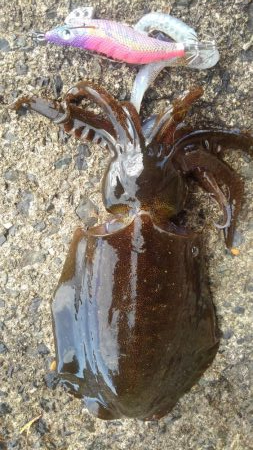 ひやひやしました❗