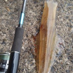 やっとやり～❓