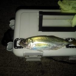 フロートゲーム