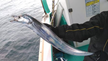 泉州丸 釣果