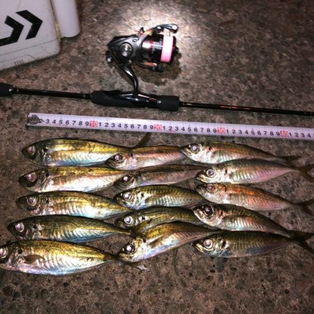 2021 佐渡ヶ島ライトゲーム