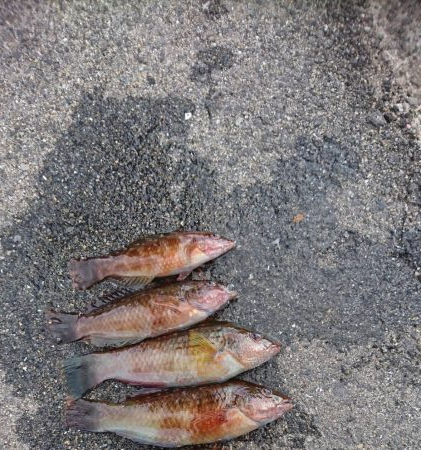 爆風のつり・・・3時間で撤退