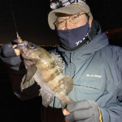 今年、初ボート～