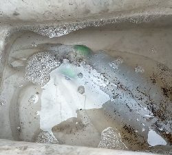 サーフでエギング