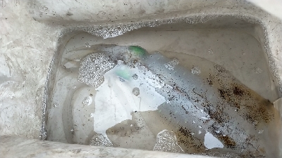 サーフでエギング