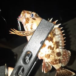 またまた仕事帰りに