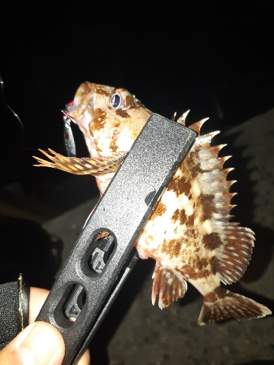 またまた仕事帰りに