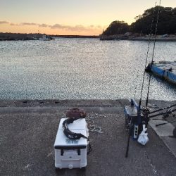 フィッシュハンターでジギング