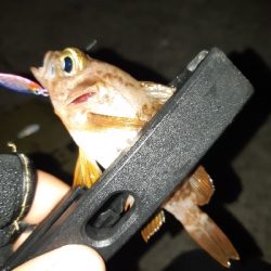 釣り仲間のオススメポイント