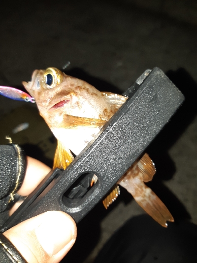 釣り仲間のオススメポイント