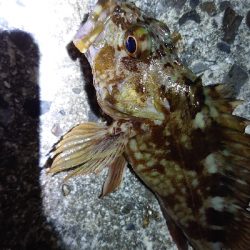 厳しい冬の釣行