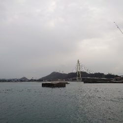 明けましておめでとうござい祭りじゃー