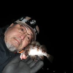 野暮用にて、少しだけ