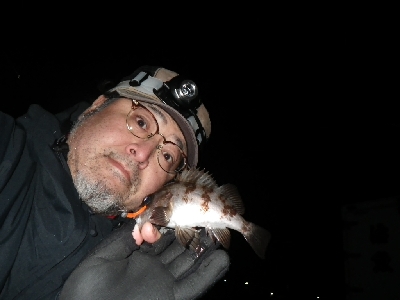 野暮用にて、少しだけ