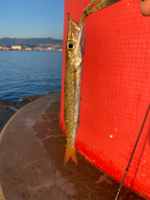 ライトゲームにて