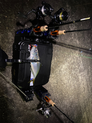 1月2日からアジング