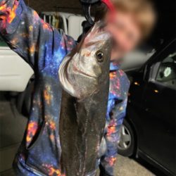 初釣りボートシーバス2021