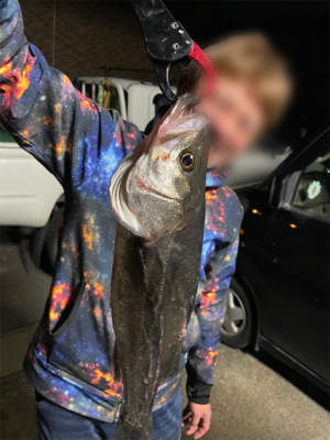 初釣りボートシーバス2021