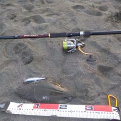 初釣行でヒラメくんにご挨拶！