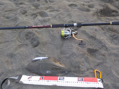 初釣行でヒラメくんにご挨拶！