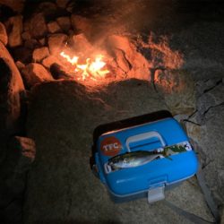 今年最初のアジング！