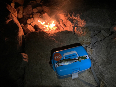 今年最初のアジング！