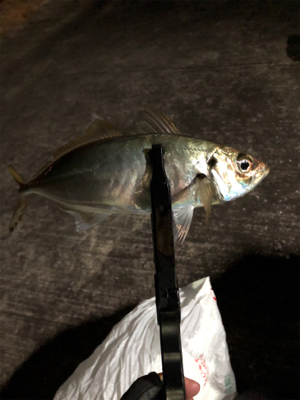 令和3年スタート