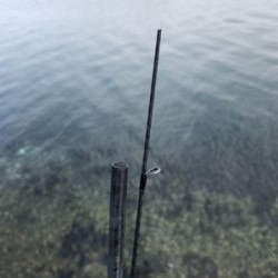 短期決戦 千歳のサゴシ