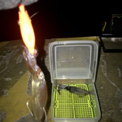 -4℃でもヒイカ釣りσ(^_^;)