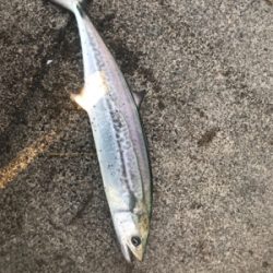 風も釣果も寒い寒い！