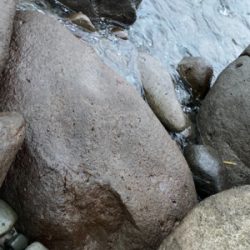 今年2021初！！朝マズメのヒラスズキ！！