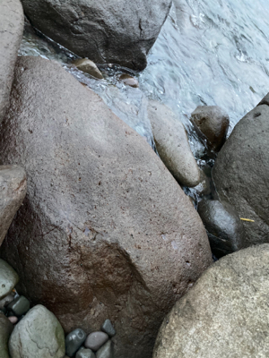 今年2021初！！朝マズメのヒラスズキ！！